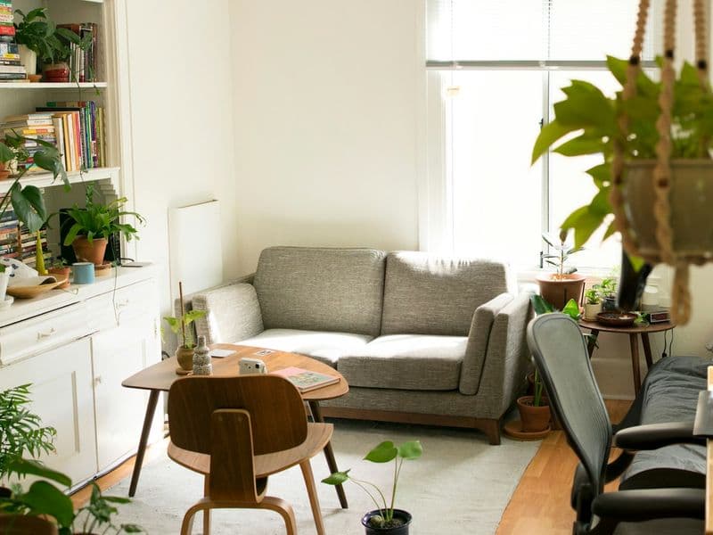 Bright room layered with hanging and potted plants